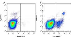 Anti Mouse CD11b Antibody, clone 5C6 gallery image 3