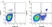 Anti Mouse CD11b Antibody, clone 5C6 thumbnail image 3