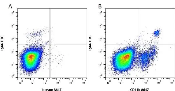 Anti Mouse CD11b Antibody, clone 5C6 gallery image 3