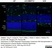 Anti Mouse CD11b Antibody, clone 5C6 thumbnail image 30