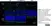 Anti Mouse CD11b Antibody, clone 5C6 thumbnail image 30