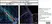 Anti Mouse CD11b Antibody, clone 5C6 thumbnail image 31