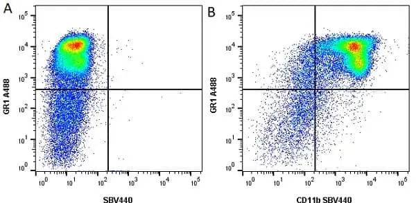 Anti Mouse CD11b Antibody, clone 5C6 gallery image 38