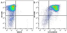 Anti Mouse CD11b Antibody, clone 5C6 gallery image 39