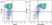 Anti Mouse CD11b Antibody, clone 5C6 thumbnail image 39