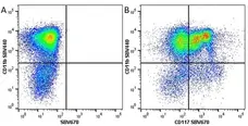 Anti Mouse CD11b Antibody, clone 5C6 gallery image 40