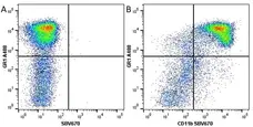 Anti Mouse CD11b Antibody, clone 5C6 gallery image 41