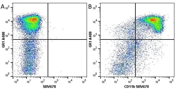 Anti Mouse CD11b Antibody, clone 5C6 gallery image 41