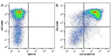 Anti Mouse CD11b Antibody, clone 5C6 gallery image 43