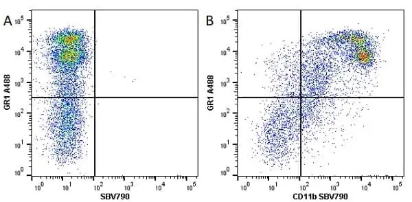 Anti Mouse CD11b Antibody, clone 5C6 gallery image 44