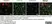 Anti Mouse CD11b Antibody, clone 5C6 thumbnail image 47