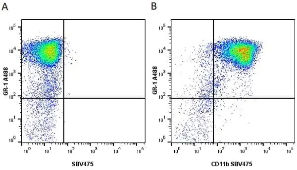Anti Mouse CD11b Antibody, clone 5C6 gallery image 48