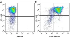 Anti Mouse CD11b Antibody, clone 5C6 gallery image 49