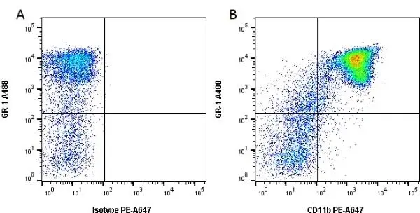 Anti Mouse CD11b Antibody, clone 5C6 gallery image 5