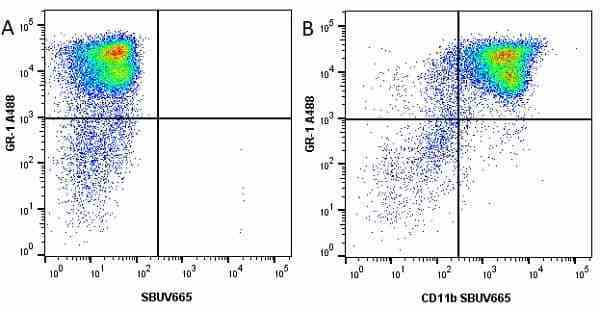 Anti Mouse CD11b Antibody, clone 5C6 gallery image 54