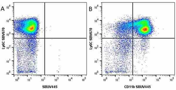 Anti Mouse CD11b Antibody, clone 5C6 gallery image 56