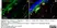 Anti Mouse CD11b Antibody, clone 5C6 thumbnail image 59