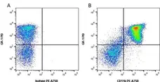 Anti Mouse CD11b Antibody, clone 5C6 gallery image 6