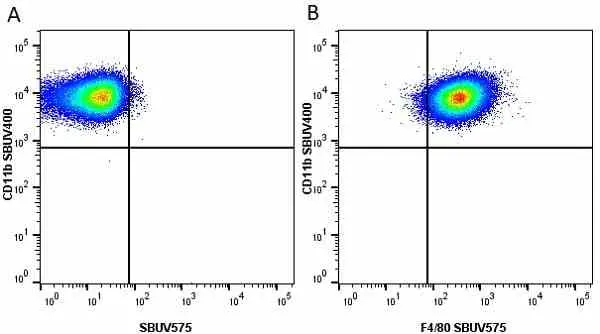 Anti Mouse CD11b Antibody, clone 5C6 gallery image 63