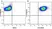 Anti Mouse CD11b Antibody, clone 5C6 thumbnail image 65