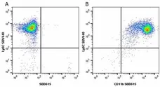 Anti Mouse CD11b Antibody, clone 5C6 gallery image 67