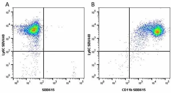 Anti Mouse CD11b Antibody, clone 5C6 gallery image 67