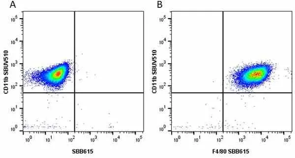 Anti Mouse CD11b Antibody, clone 5C6 gallery image 68