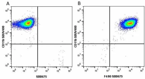Anti Mouse CD11b Antibody, clone 5C6 gallery image 70
