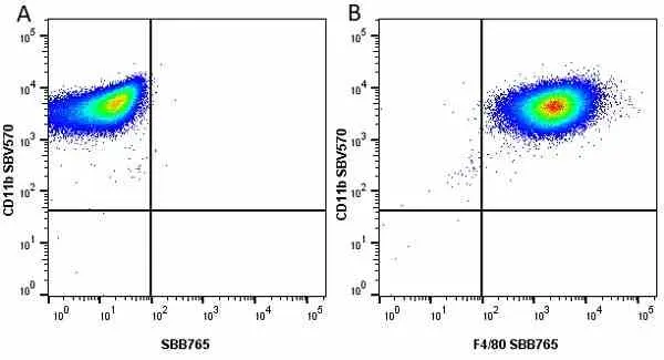 Anti Mouse CD11b Antibody, clone 5C6 gallery image 72
