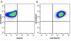 Anti Mouse CD11b Antibody, clone 5C6 gallery image 74