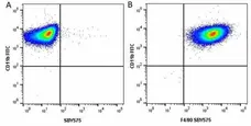 Anti Mouse CD11b Antibody, clone 5C6 gallery image 76