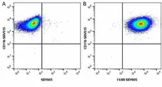 Anti Mouse CD11b Antibody, clone 5C6 gallery image 78