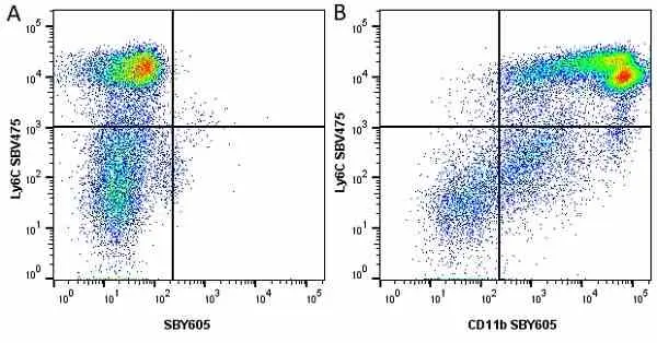Anti Mouse CD11b Antibody, clone 5C6 gallery image 79