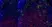 Anti Mouse CD11b Antibody, clone 5C6 thumbnail image 8