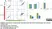 Anti Mouse CD11b Antibody, clone 5C6 thumbnail image 82
