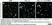 Anti Mouse CD11b Antibody, clone 5C6 thumbnail image 87
