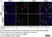 Anti Mouse CD11b Antibody, clone 5C6 thumbnail image 96