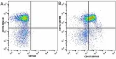 Anti Mouse CD11b Antibody, clone 5C6 gallery image 99