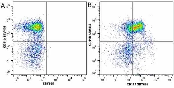Anti Mouse CD11b Antibody, clone 5C6 gallery image 99