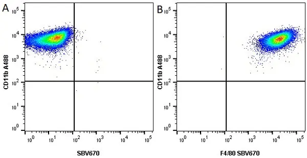 Anti Mouse CD11b Antibody, clone M1/70.15 gallery image 20