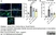 Anti Mouse CD11b Antibody, clone M1/70.15 thumbnail image 21