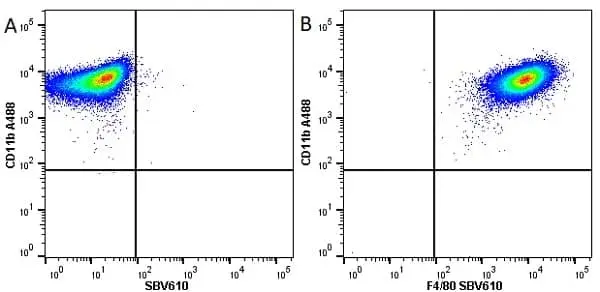 Anti Mouse CD11b Antibody, clone M1/70.15 gallery image 25
