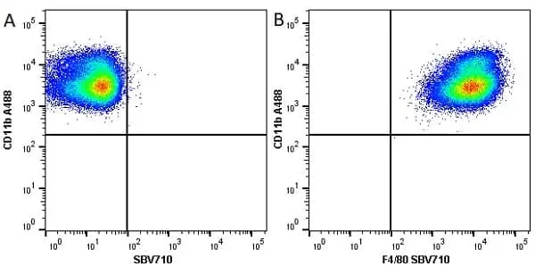 Anti Mouse CD11b Antibody, clone M1/70.15 gallery image 29