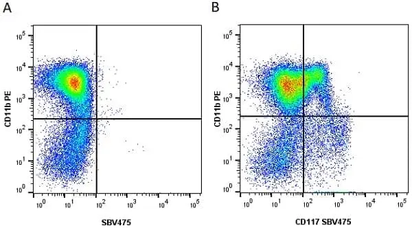 Anti Mouse CD11b Antibody, clone M1/70.15 gallery image 34