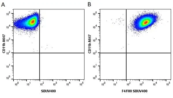 Anti Mouse CD11b Antibody, clone M1/70.15 gallery image 36