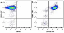 Anti Mouse CD11b Antibody, clone M1/70.15 gallery image 37