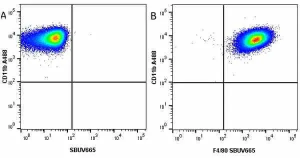 Anti Mouse CD11b Antibody, clone M1/70.15 gallery image 39