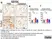 Anti Mouse CD11b Antibody, clone M1/70.15 thumbnail image 41