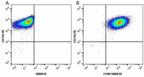 Anti Mouse CD11b Antibody, clone M1/70.15 gallery image 45