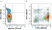Anti Mouse CD11b Antibody, clone M1/70.15 thumbnail image 51
